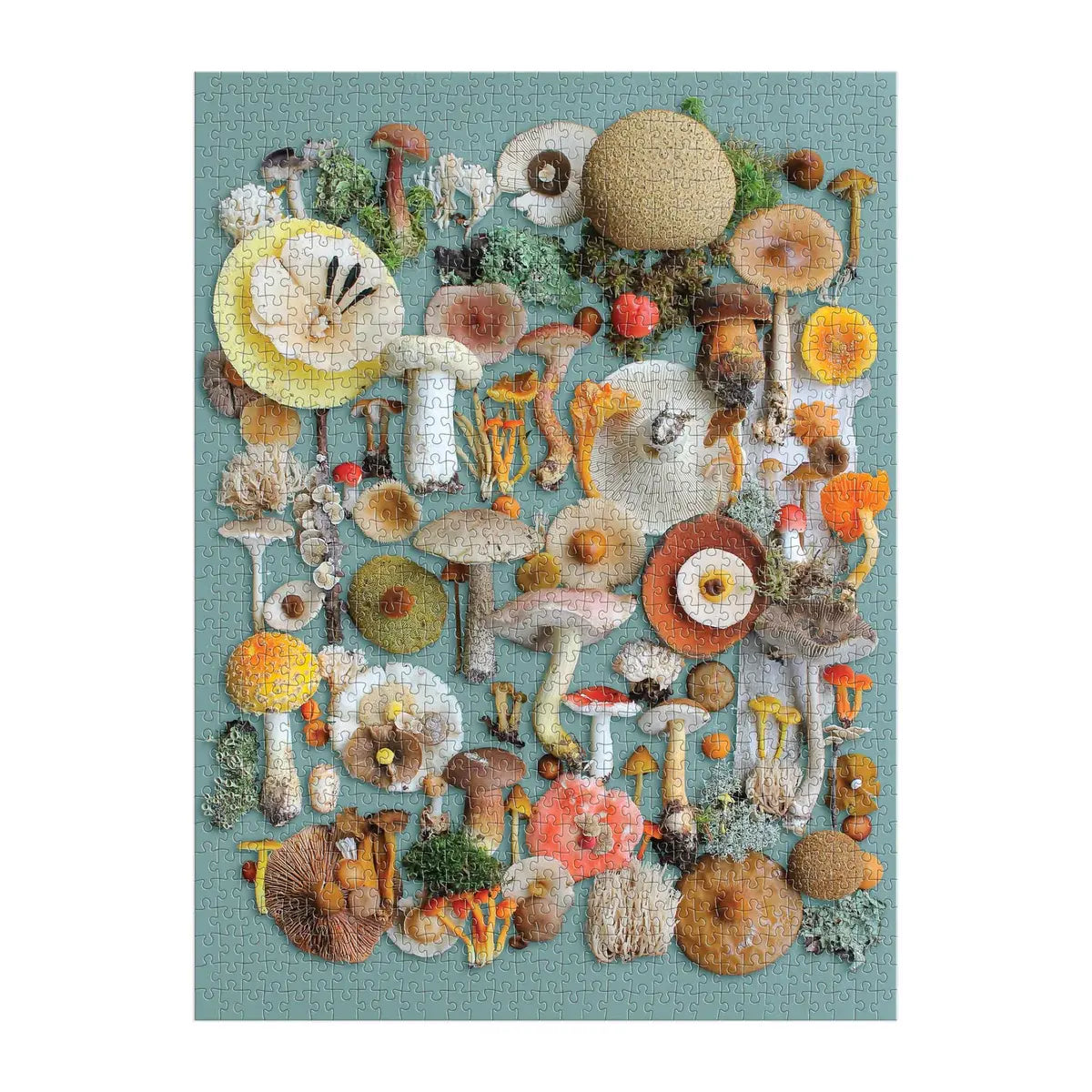 puzzle - 1000-piece - foraged by chronicle books