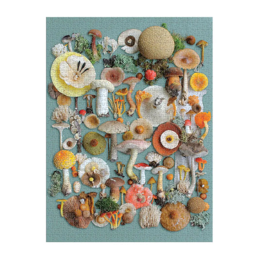 puzzle - 1000-piece - foraged by chronicle books