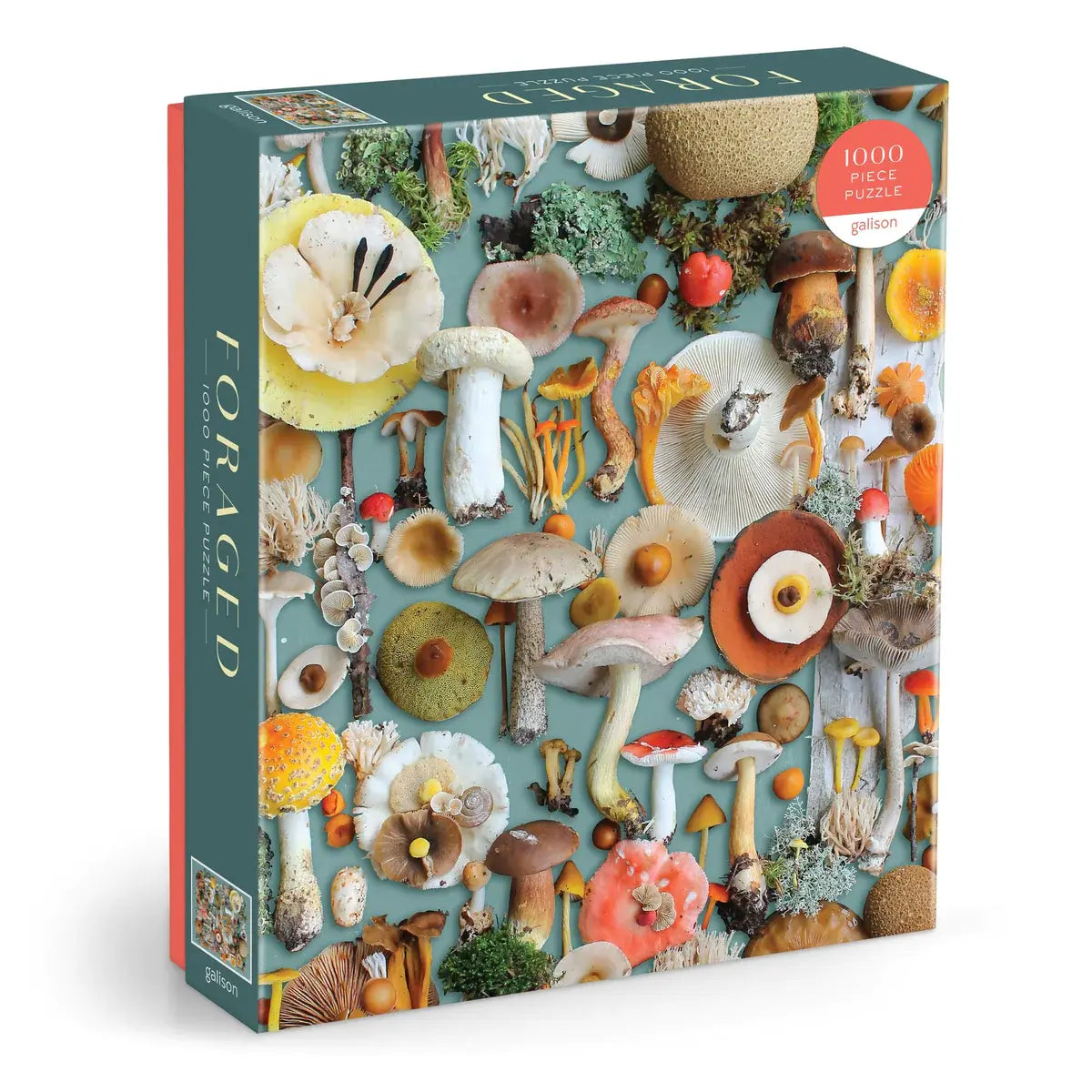puzzle - 1000-piece - foraged by chronicle books
