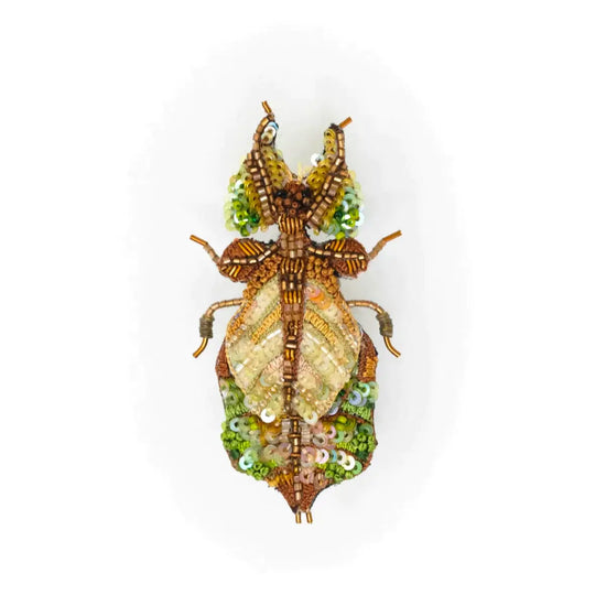 brooch pin - giant leaf insect by trovelore