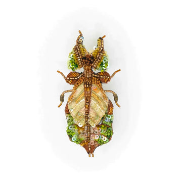 brooch pin - giant leaf insect by trovelore
