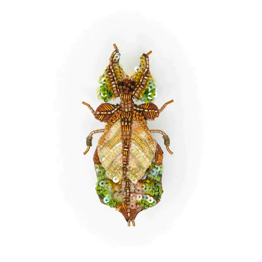 brooch pin - giant leaf insect by trovelore