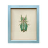 wall art - shadowbox - giant leaf insect by green beetle shop