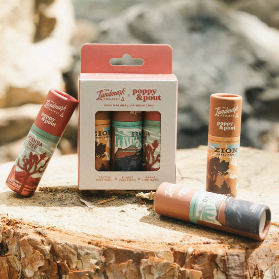 lip balm trio - landmark project by poppy & pout
