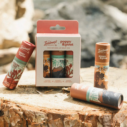 lip balm trio - landmark project by poppy & pout