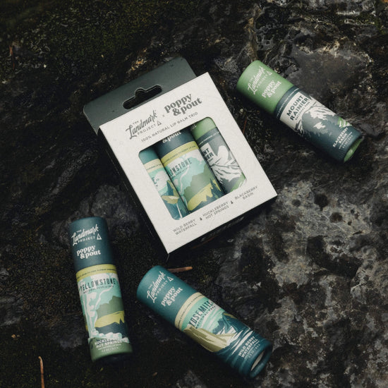 lip balm trio - landmark project by poppy & pout