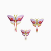 3D Butterfly Puzzle | Set of 3 |