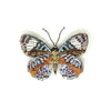 brooch pin - glorious purplewing butterfly by trovelore