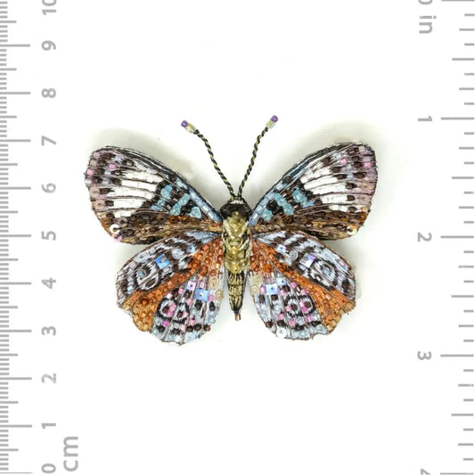 brooch pin - glorious purplewing butterfly by trovelore