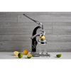 Juicer | Citrus |