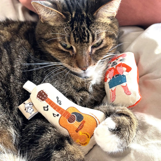 cat toy - crinkle catnip - country music by speckle & spot by oré originals