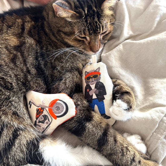 cat toy - crinkle catnip - easy rider by speckle & spot by oré originals