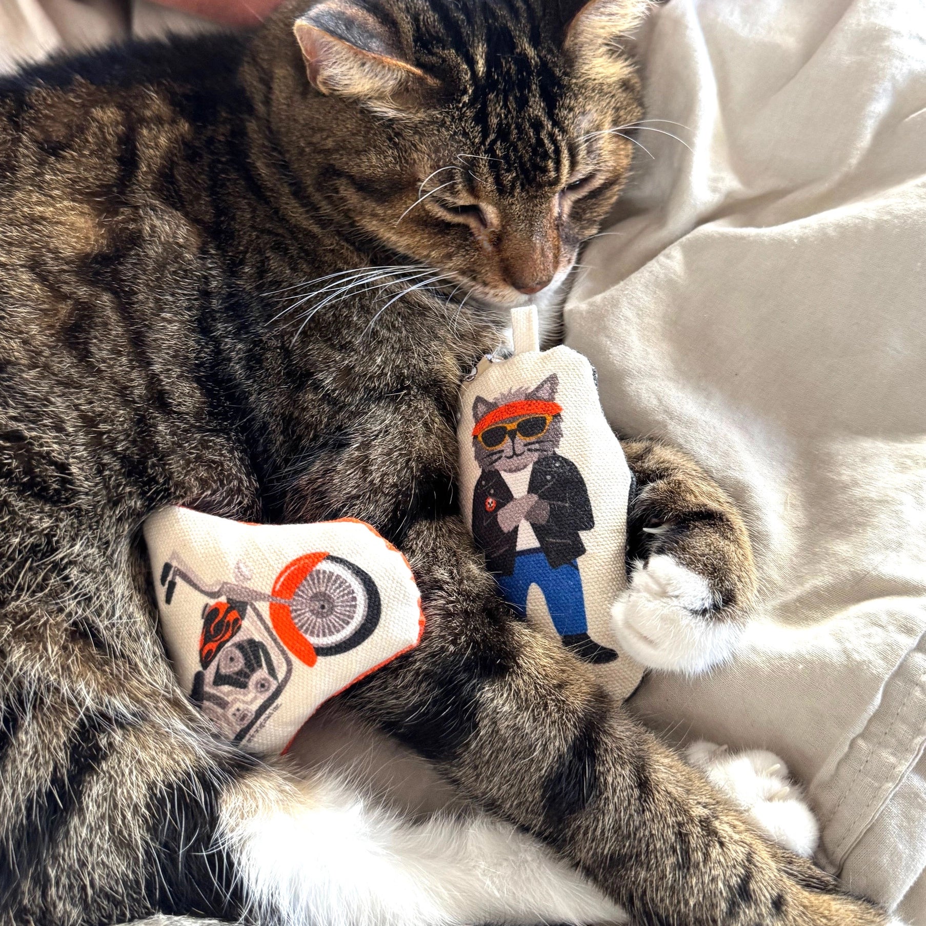 cat toy - crinkle catnip - easy rider by speckle & spot by oré originals