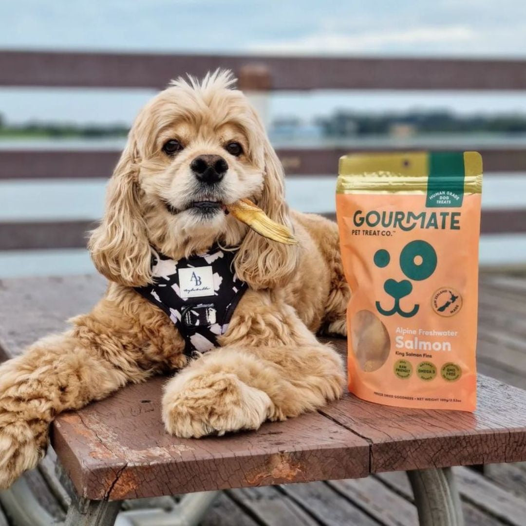 dog treats - gourmate by gourmate