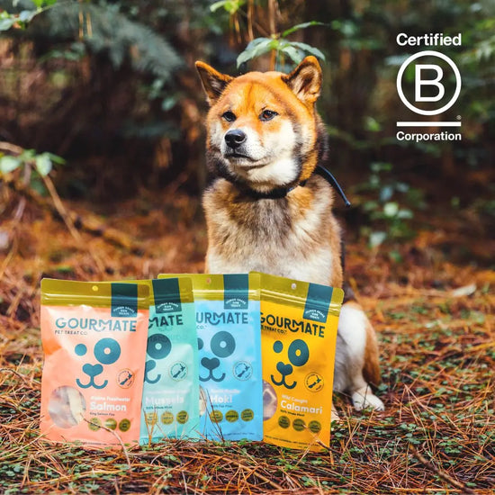 dog treats - gourmate by gourmate
