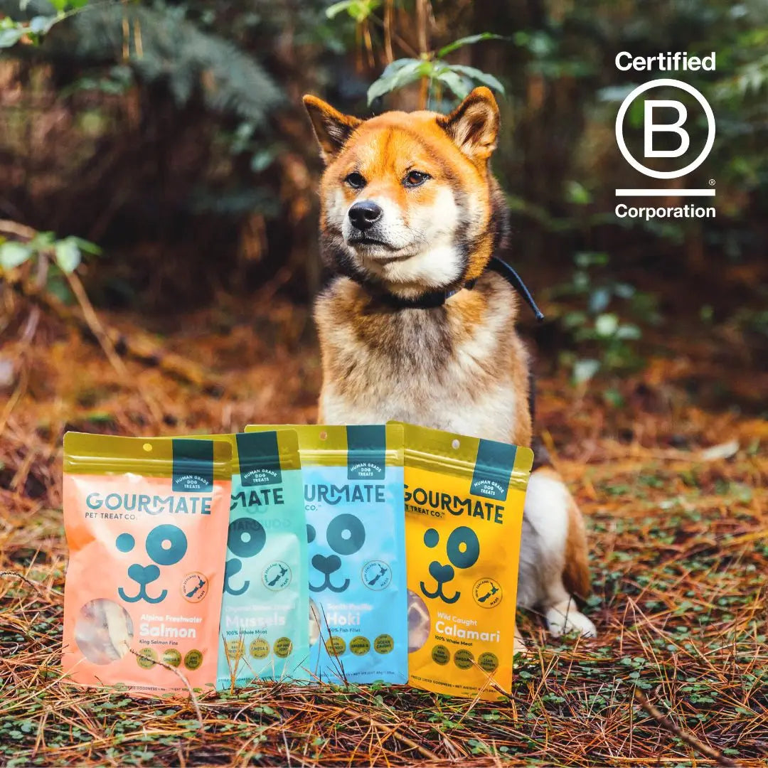 dog treats - gourmate by gourmate
