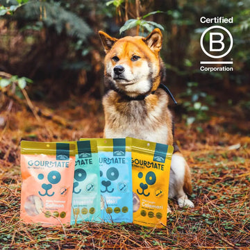 dog treats - gourmate by gourmate