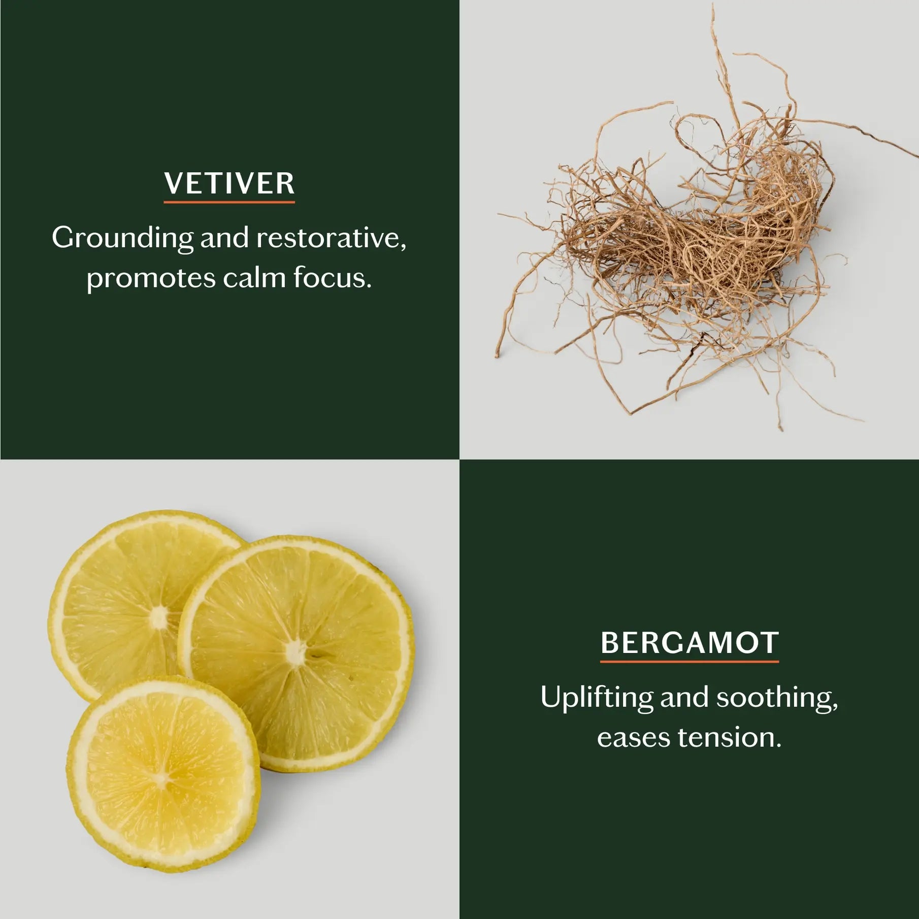 lotion bar - mini - 3 scents by kate mcleod