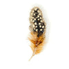 brooch pin - guinea feather by trovelore