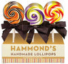 candy - handmade lollipop by redstone foods inc