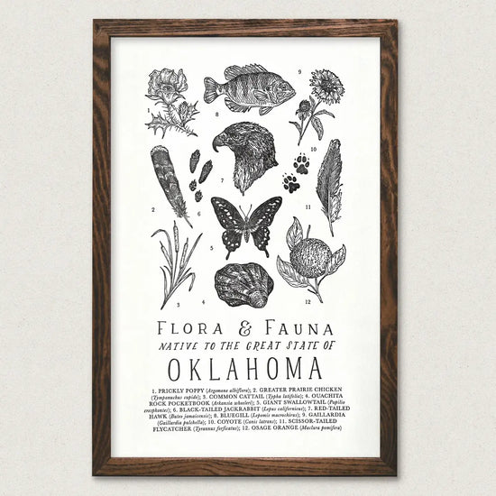 art print - oklahoma field guide - flora & fauna by the wild wander