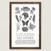 art print - oklahoma field guide - flora & fauna by the wild wander