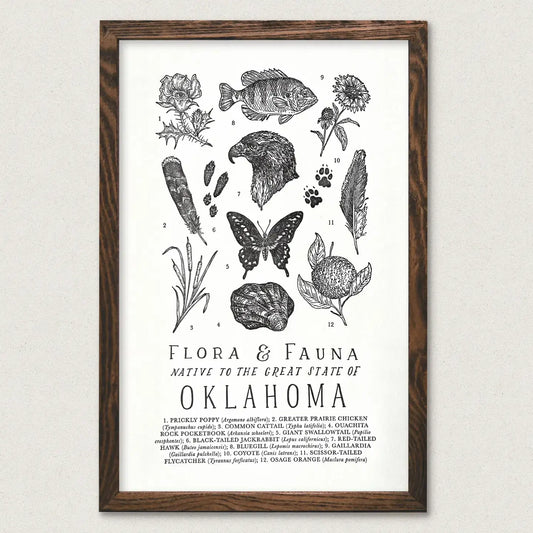 art print - oklahoma field guide - flora & fauna by the wild wander