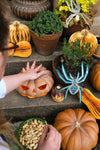 ornaments - recycled cotton paper - spiders by east end press