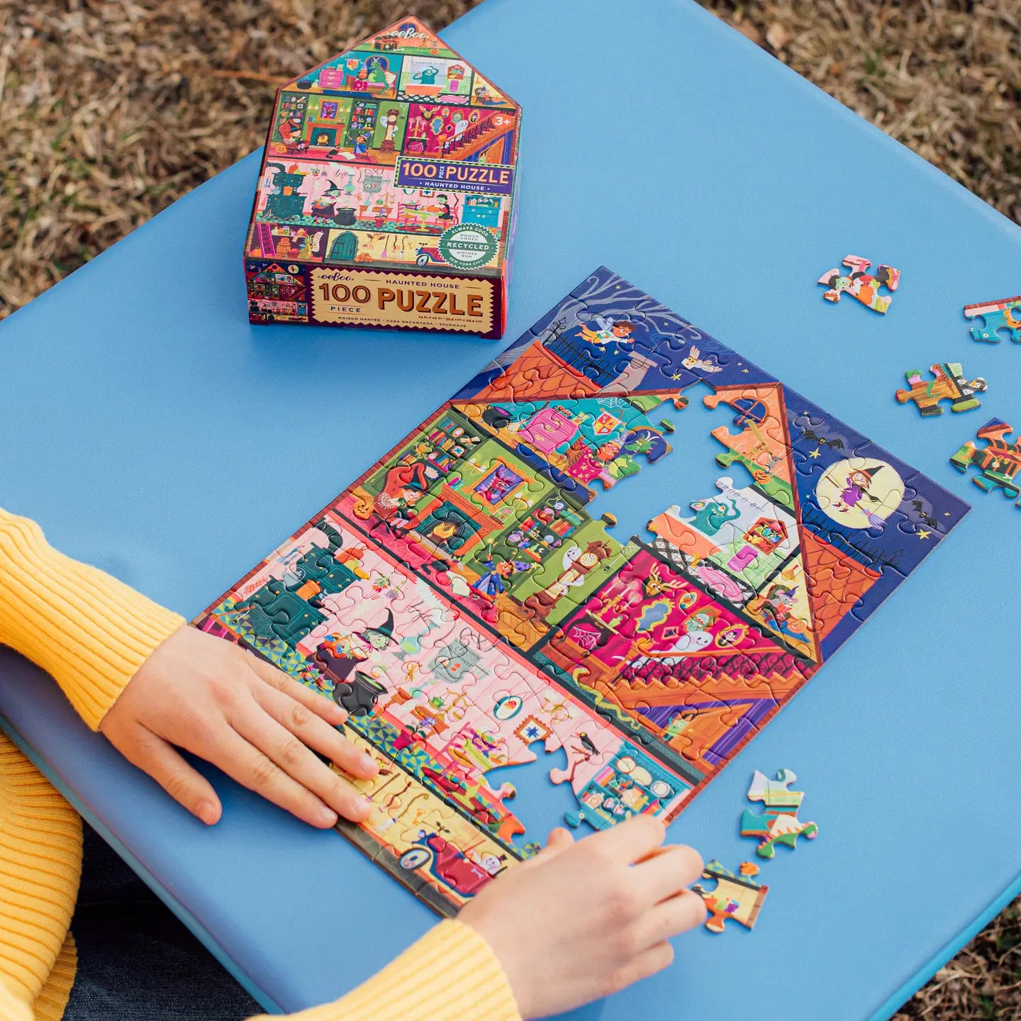 Puzzles & Building