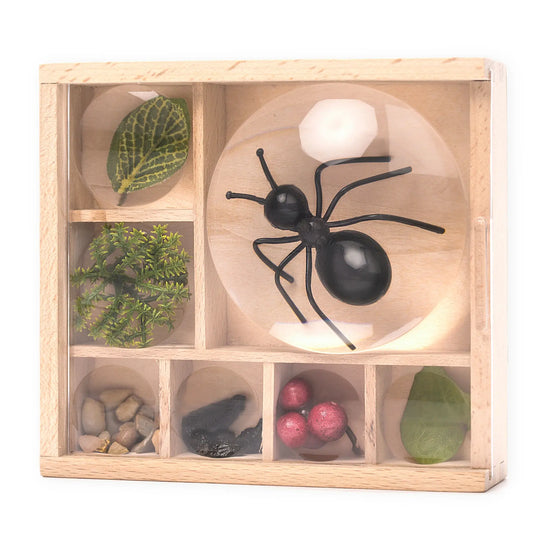 toy - magnifying box - my little museum by kikkerland