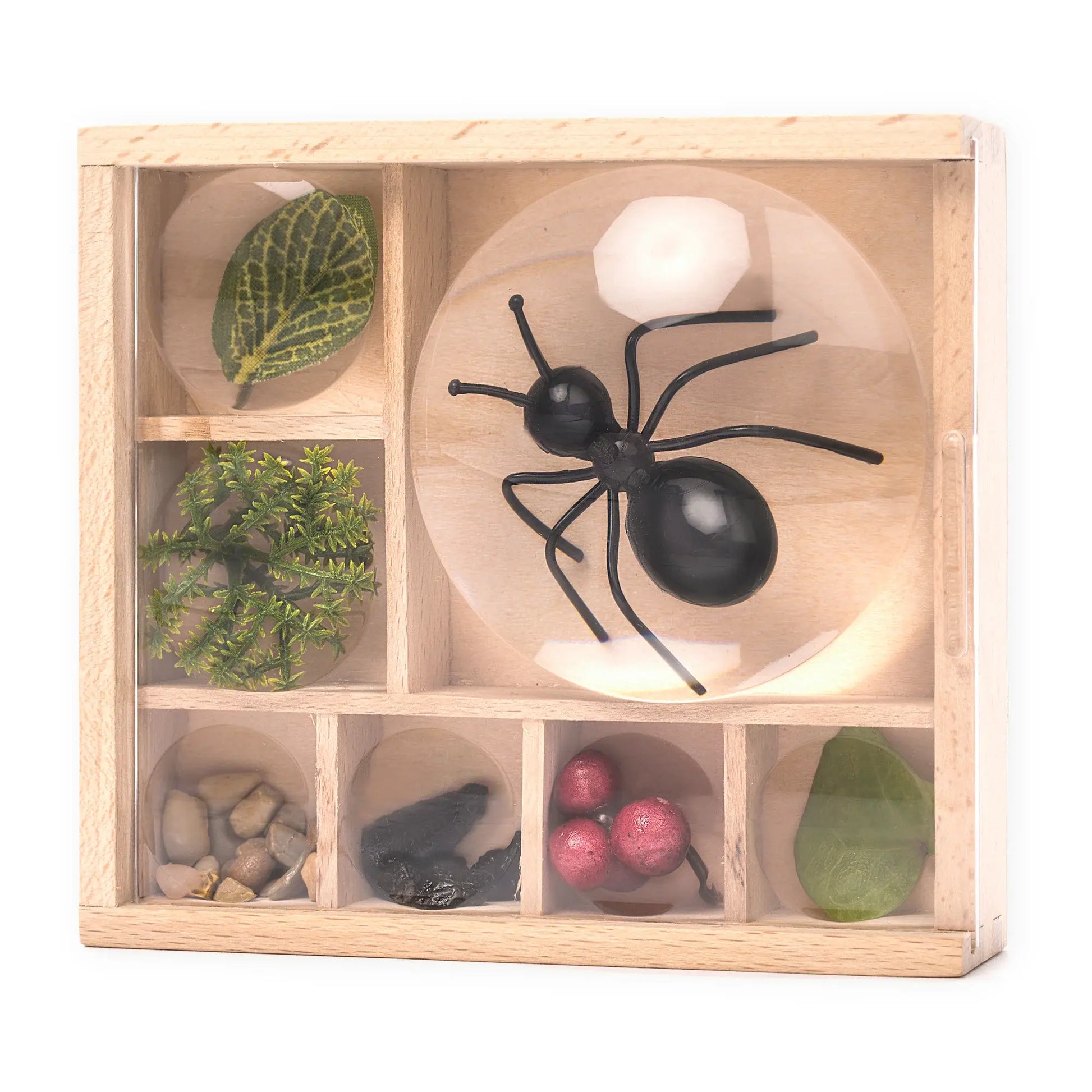 toy - magnifying box - my little museum by kikkerland