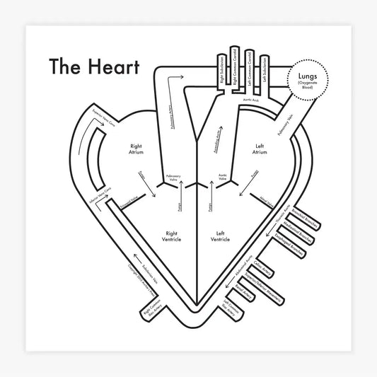 art print - letterpress - heart by archie's press