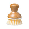 Dish Brush | White