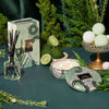 reed diffuser - white cypress by voluspa