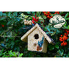 bird seed - holiday birdie cottage by mr. bird