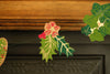 garland - recycled cotton paper - holly & ivy by east end press