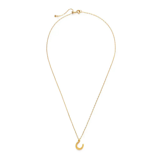 necklace - horseshoe charm - 20" chain - 14kgp by amano studio