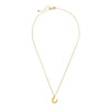 necklace - horseshoe charm - 20" chain - 14kgp by amano studio