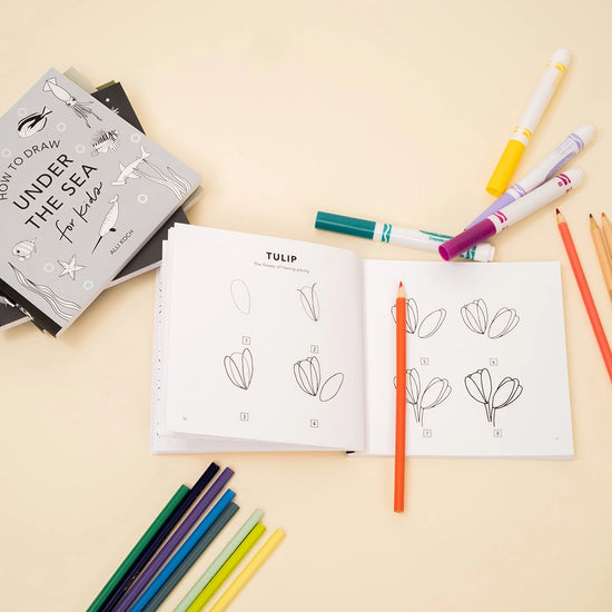 books - box set of 5 - how to draw so many things for kids by paige tate & co.