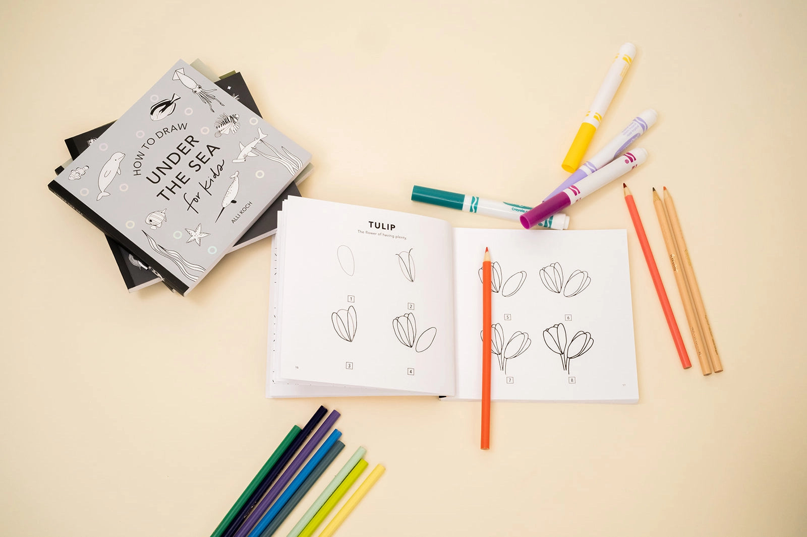 books - box set of 5 - how to draw so many things for kids by paige tate & co.
