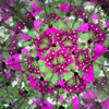 diy kaleidoscope - huckleberry by kikkerland