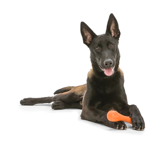 dog toy - hurley® by west paw design