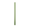 Straw|Glass 8in