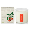 Candle | Wild Tomato Vine | 9oz