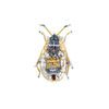Brooch Pin | Lace Bug