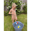 toy - fishing duck - assorted colors by dam