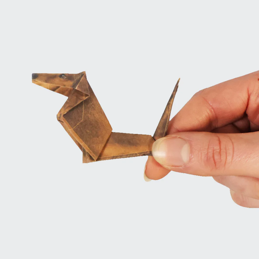 origami kit - paper pets by pikkii usa