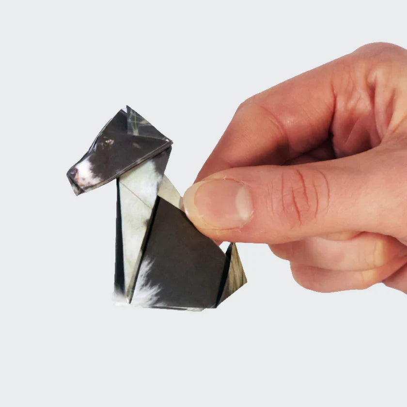 origami kit - paper pets by pikkii usa