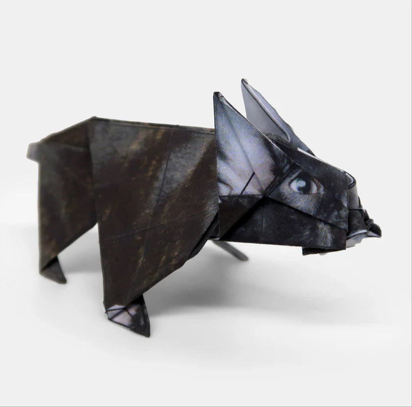 origami kit - paper pets by pikkii usa