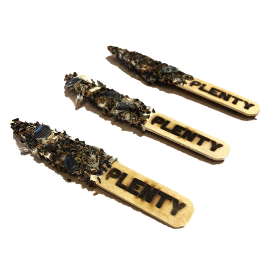 plenty wildflower seed stick by plenty
